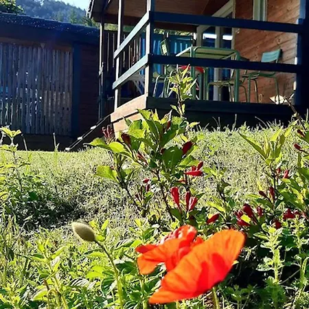 Camping Accueillant Animaux - 7 Pers. - Api-1-52-2392 *