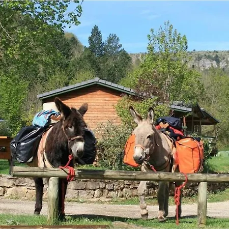 Accueillant Animaux - 7 Pers. - Api-1-52-2392 Camping